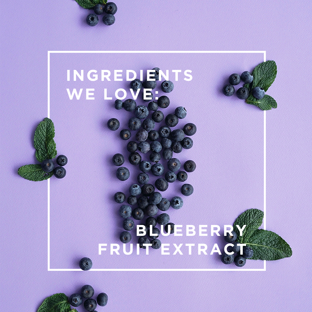 Ingredients We Love: Blueberry Fruit Extract