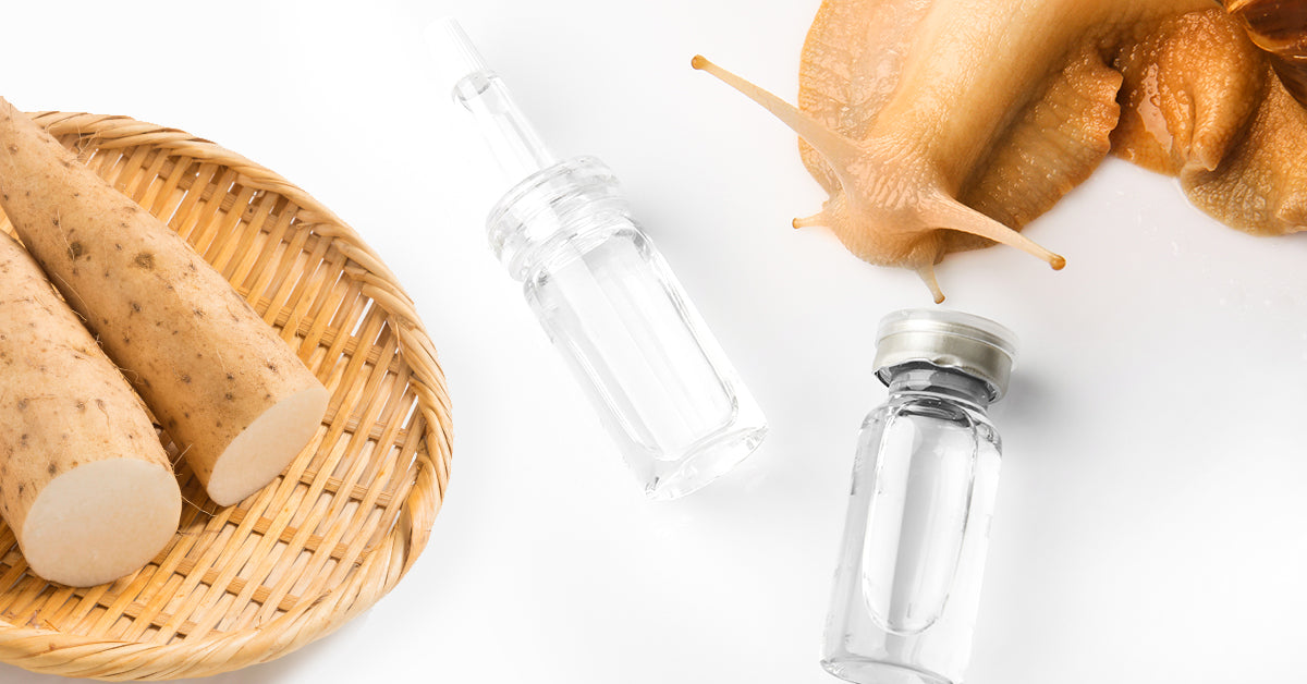 Snail Mucin in Skin Care — What’s The Big Deal?