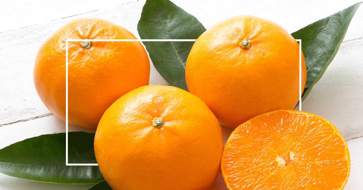 Ingredients We Love: Citrus Nobilis Fruit Extract